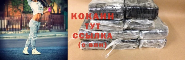 прущие грибы Баксан