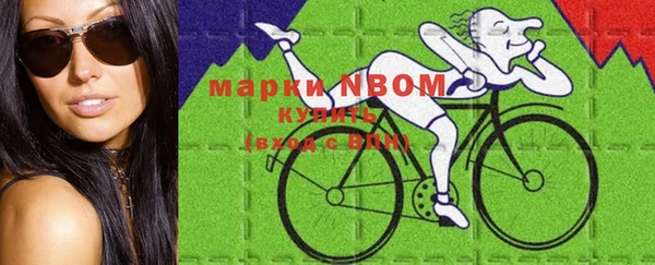 прущие грибы Баксан