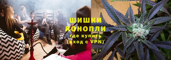 прущие грибы Баксан