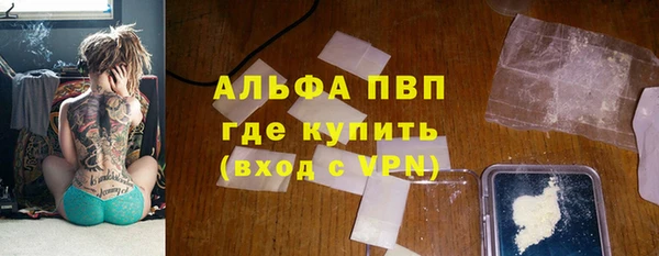 прущие грибы Баксан